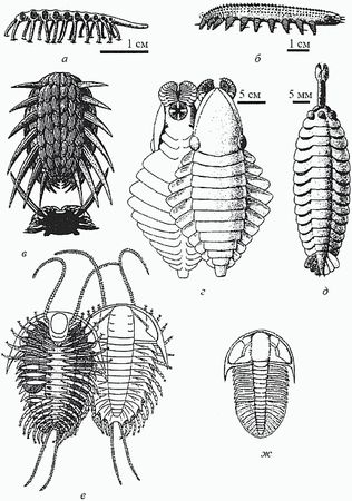 Кирилл Еськов - Удивительная палеонтология. История земли и жизни на ней