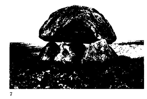 Хильда Дэвидсон - Древние скандинавы. Сыны северных богов