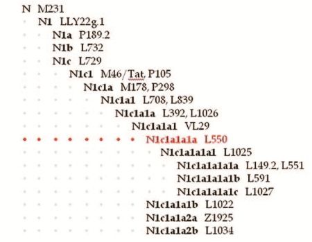 Анатолий Клёсов - Занимательная ДНК-генеалогия. Новая наука дает ответы