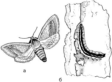 Светлана Ермакова - Календарь современного садовода. Защита сада и огорода от...