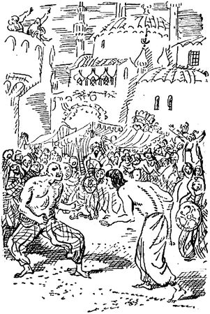 Михаил Садовяну - Братья Ждер