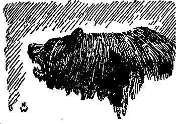 Жозеф Рони-Старший - Борьба за огонь