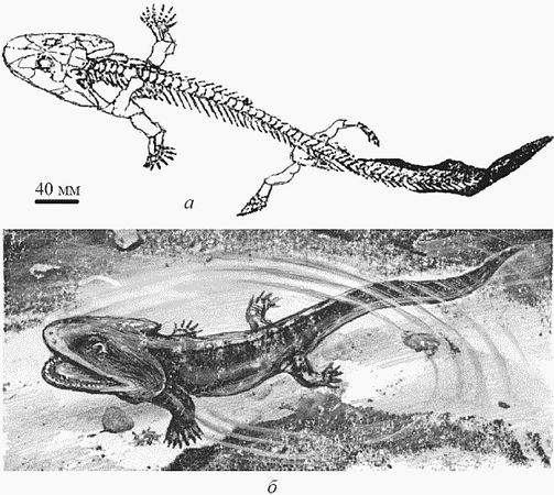Кирилл Еськов - Удивительная палеонтология. История земли и жизни на ней