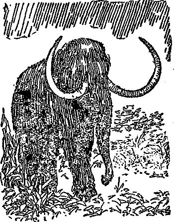 Жозеф Рони-Старший - Борьба за огонь