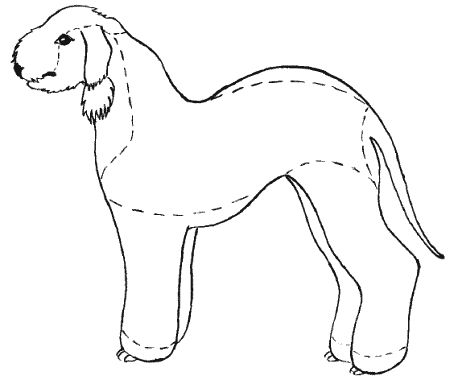 М. Колов, Е. Куприянова - Парикмахерская для собак и кошек