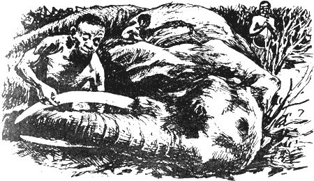 Владимир Корочанцев - Африка - земля парадоксов