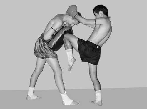 Бим Бэкман, Аман Атилов - Бойцовский клуб: боевой фитнес для мужчин