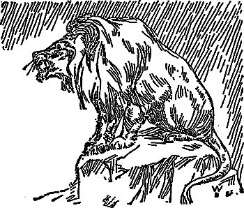 Жозеф Рони-Старший - Борьба за огонь