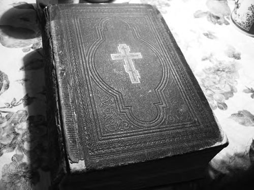 Екатерина Каликинская - Святитель Лука: факты, документы, воспоминания