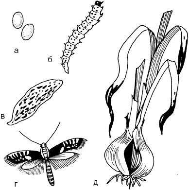 Светлана Ермакова - Календарь современного садовода. Защита сада и огорода от...
