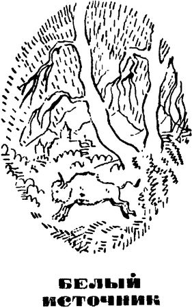 Михаил Садовяну - Братья Ждер