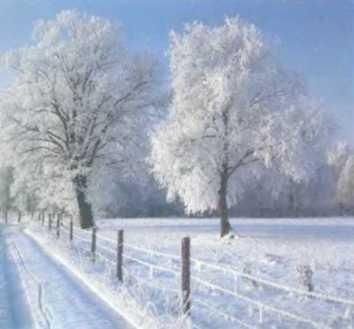 Ауст Зигфрид - Погода