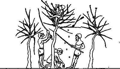 Лидия Винничук - Люди, нравы и обычаи Древней Греции и Рима