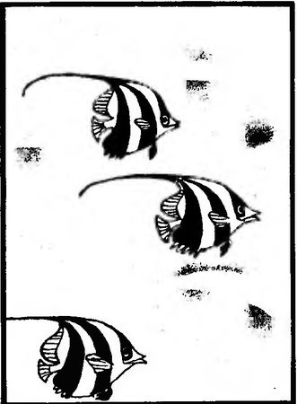 Жак-Ив Кусто, Филипп Кусто - Чтобы не было в море тайн