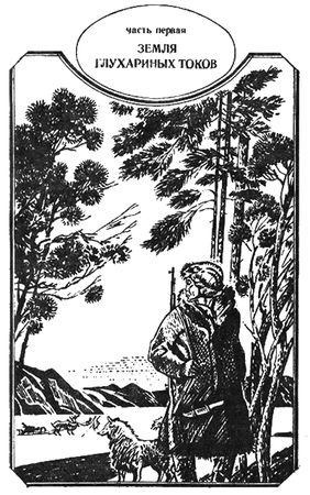 Владимир Степаненко - Точка росы