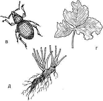 Светлана Ермакова - Календарь современного садовода. Защита сада и огорода от...