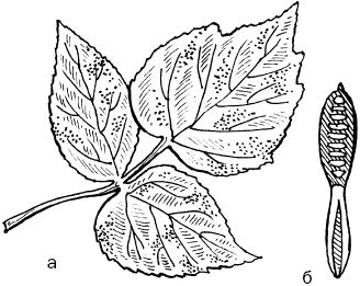 Светлана Ермакова - Календарь современного садовода. Защита сада и огорода от...