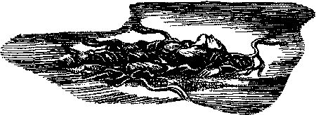 Джо Холдеман, Кристофер Прист и др. - Фата-Моргана №1