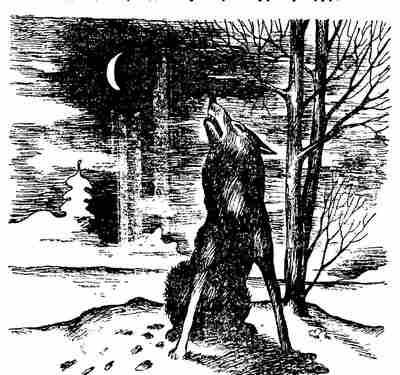 Чарлз Робертс - Лесной бродяга (рассказы и повести)