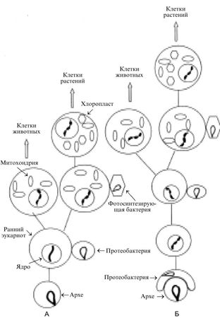 Марк Мосевицкий - Распространненость жизни и уникальность разума?