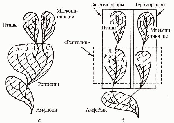Кирилл Еськов - Удивительная палеонтология. История земли и жизни на ней