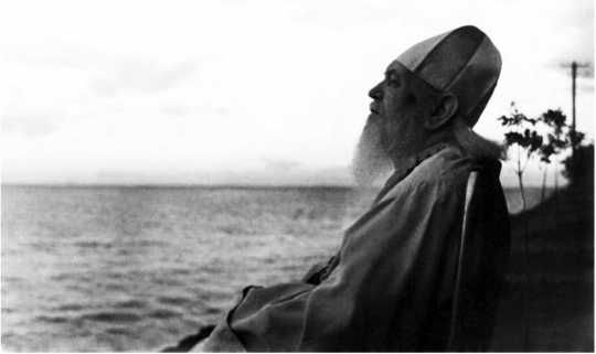 Екатерина Каликинская - Святитель Лука: факты, документы, воспоминания