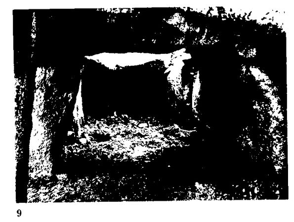 Хильда Дэвидсон - Древние скандинавы. Сыны северных богов