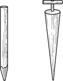 Сергей Кашин - Овощи, ягоды, фрукты. Умная рассада и бережное хранение