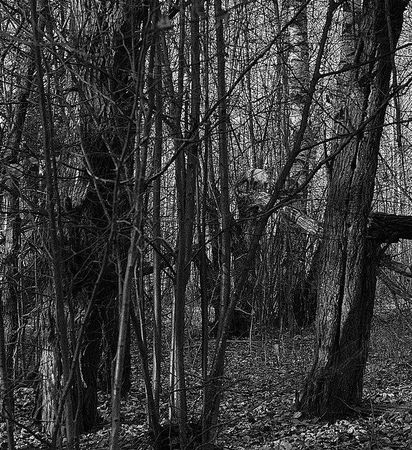 Олег Ермаков - Вокруг света