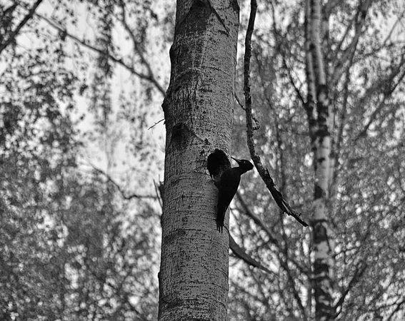 Олег Ермаков - Вокруг света