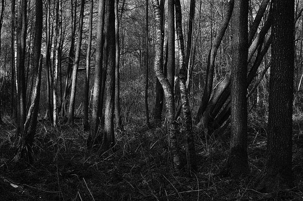 Олег Ермаков - Вокруг света