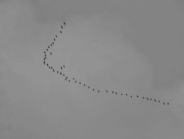 Олег Ермаков - Вокруг света