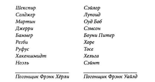 Мирко Бонне - Ледяные небеса