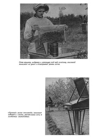 Иосиф Халифман - Пароль скрещенных антенн