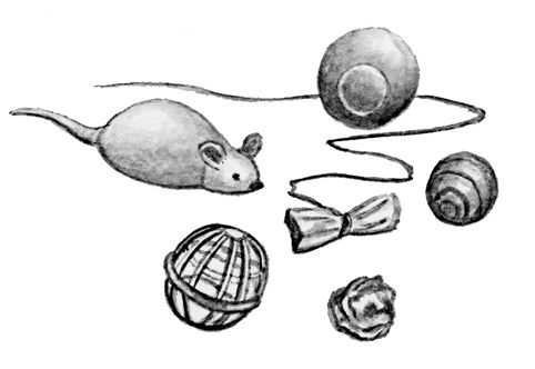 Людмила Антонова - Уход за домашними кошками