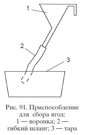 Николай Звонарев - Садово-огородные хитрости. Постройки и инвентарь