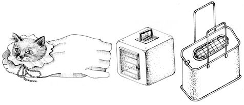 Людмила Антонова - Уход за домашними кошками