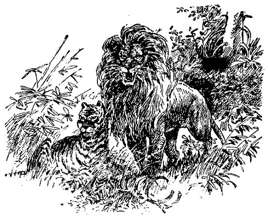 Жозеф Рони-старший - Борьба за огонь. Доисторический роман