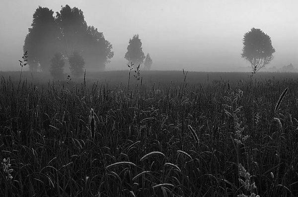 Олег Ермаков - Вокруг света