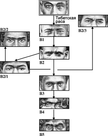 Эрнст Мулдашев - От кого мы произошли?