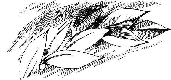 Татьяна Афанасьева, Константин Сумнительный и др. - Я люблю Монтессори