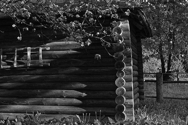 Олег Ермаков - Вокруг света