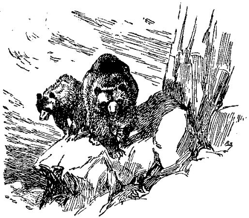 Жозеф Рони-старший - Борьба за огонь. Доисторический роман