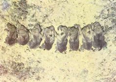 Тропинки в загадочный мир