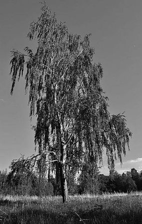 Олег Ермаков - Вокруг света