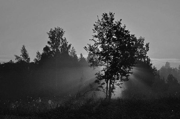 Олег Ермаков - Вокруг света