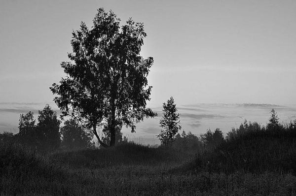 Олег Ермаков - Вокруг света