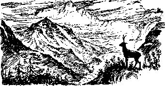 Павел Рототаев - Покорение гигантов