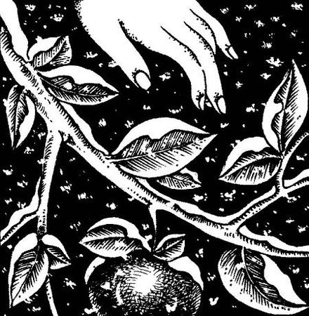 Алексей Кононенко - Энциклопедия славянской культуры, письменности и мифологии