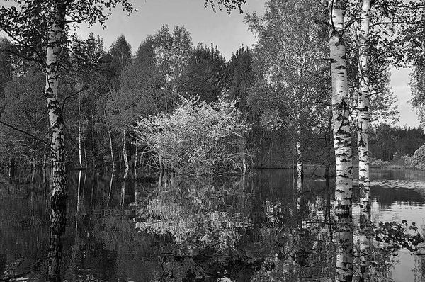 Олег Ермаков - Вокруг света